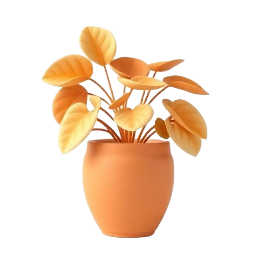 Decoração